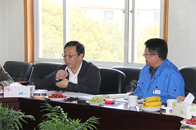 2013年3月18日，时任国家工信部节能司副司长杨铁生一行莅临公司参观指导